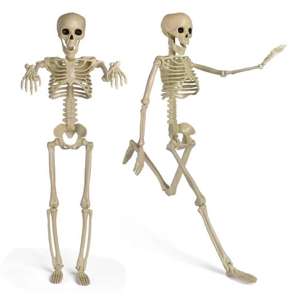 24 Inch Halloween Adjustable Skeleton Prop,Halloween Decoration Clearance,Halloween Party Decoration,Halloween Decoration Outdoor,Indoor
